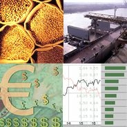 market.jpg
