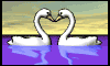 swan.gif